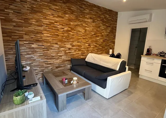 Apartment Petit De 35 M2 Au Puig Del Mas *